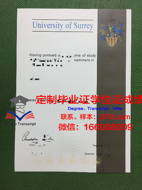 萨萨里大学毕业证真伪(萨里大学吧)