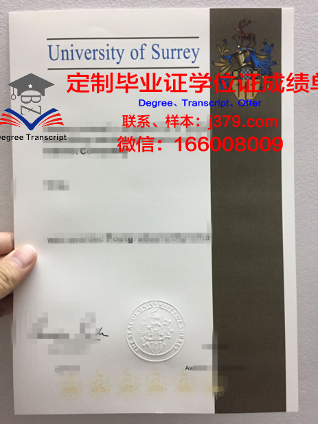 萨里大学成绩单如何下载(萨里大学申请截止时间)