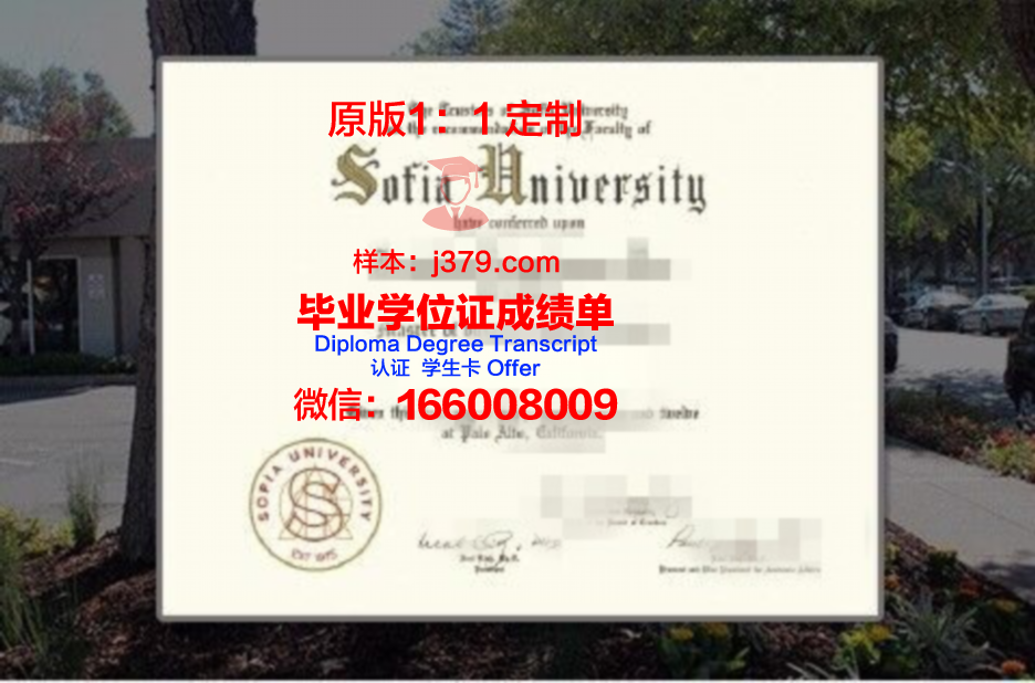 索非亚大学diploma证书(索菲亚大学在职硕士)