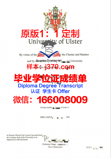 拜罗伊特大学毕业证案例(拜罗依特大学)