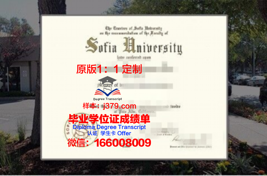 索非亚技术大学普罗夫迪夫分校证书成绩单(索菲亚大学官网)