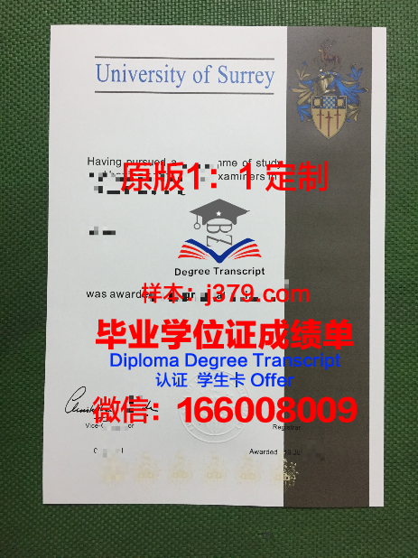 萨里大学成绩单如何下载(萨里大学申请截止时间)