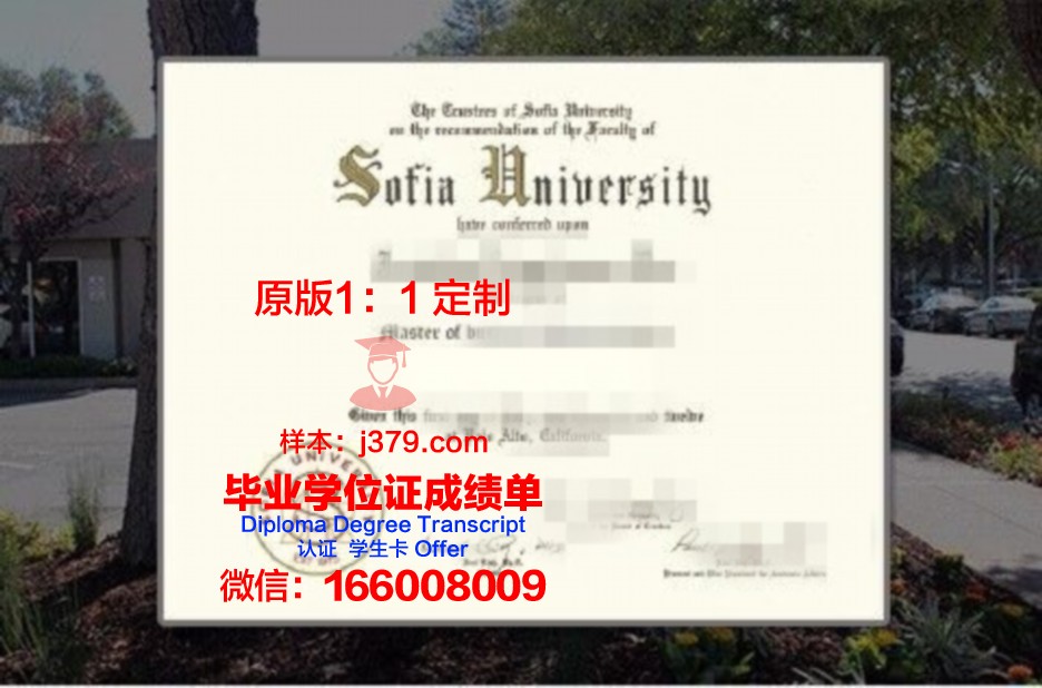 索非亚技术大学普罗夫迪夫分校证书成绩单(索菲亚大学官网)