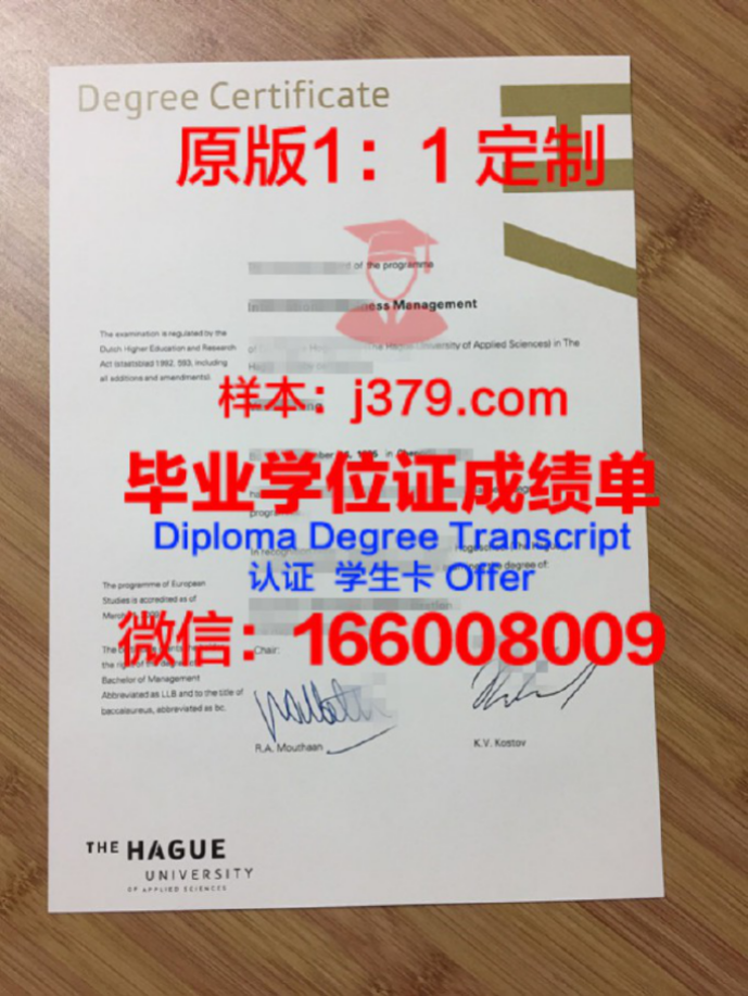 海牙大学毕业证图片Hague University Diploma