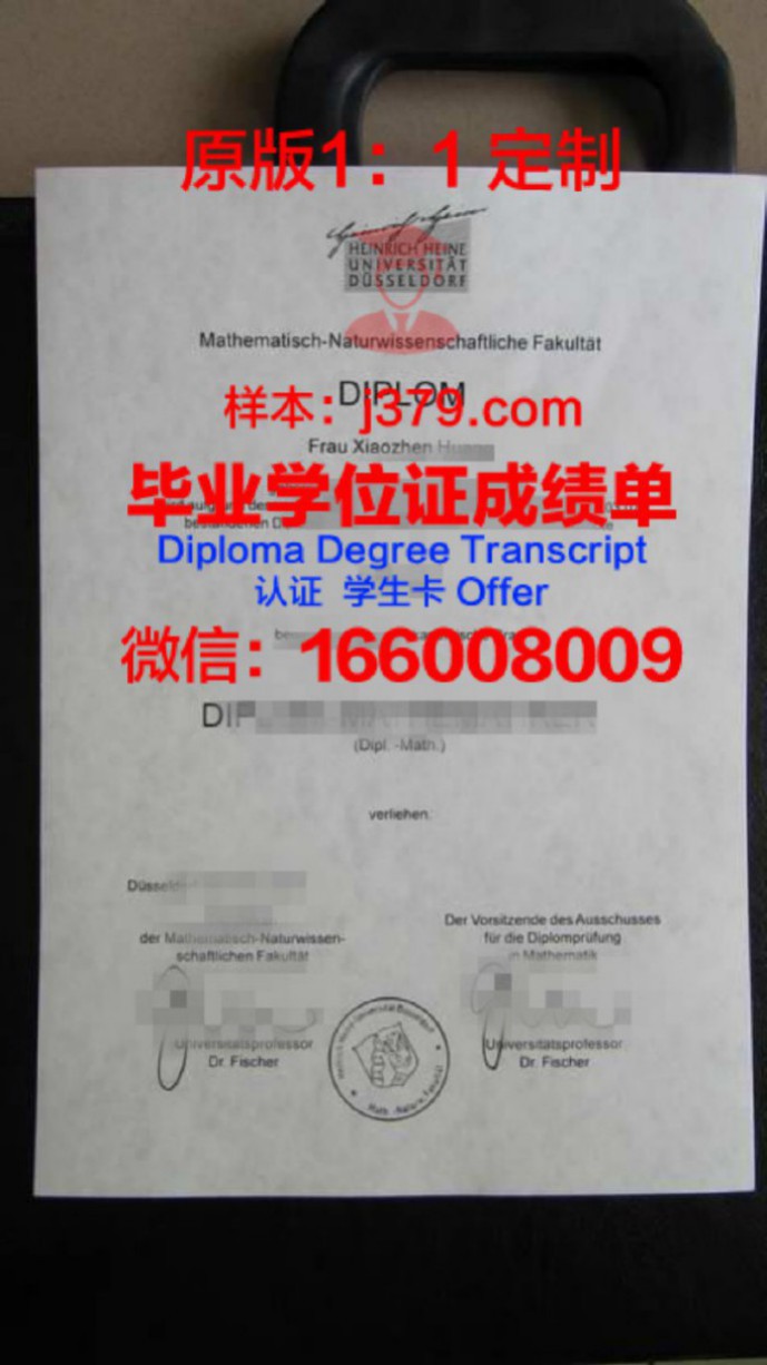 杜塞尔多夫大学毕业证图片University of Dusseldorf Diploma