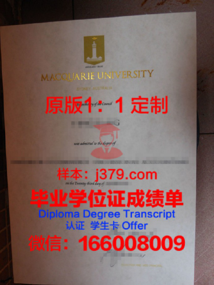 麦考瑞大学毕业证原件(麦考瑞大学毕业证图片)